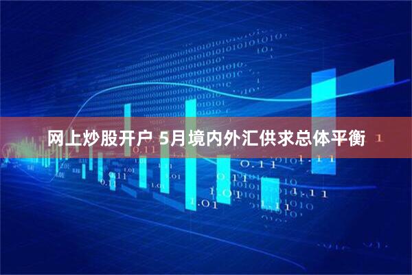 网上炒股开户 5月境内外汇供求总体平衡