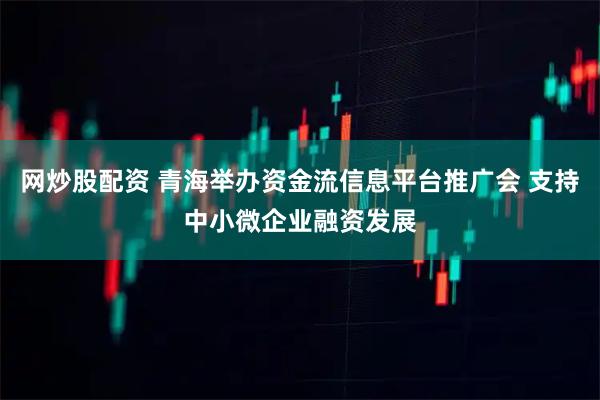 网炒股配资 青海举办资金流信息平台推广会 支持中小微企业融资发展